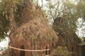 Ancient ruined temple at baro ras bari temple complex