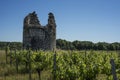 Ancient ruined tower in vineyards