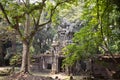 Ancient ruins of Angkor Thom temple in Angkor Wat complex, Cambodia. Angkor Thom wall and gate in forest. Royalty Free Stock Photo