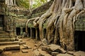 The ancient ruins of Angkor Wat in Cambodia