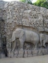 Ancient ruins art in Angkor Thom, Cambodia with image of elephant and people carved into stone wall