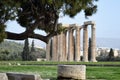 Pillars at Athens Temple of Zeus, Olympia, Greece Royalty Free Stock Photo