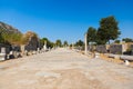 Ancient ruins in Ephesus Turkey Royalty Free Stock Photo