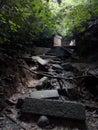 Ancient ruins in forest.