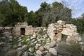 Ancient Ruins in a Forest Royalty Free Stock Photo