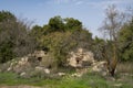 Ancient Ruins in a Forest Royalty Free Stock Photo