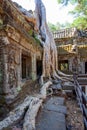 The ancient ruins of a historic Khmer temple in the temple complex of Angkor Wat in Cambodia. Travel Cambodia concept. Royalty Free Stock Photo