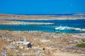 Ancient ruins in the island of Delos in Cyclades, one of the most important mythological, historical and archaeological sites.