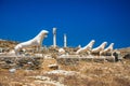 Ancient ruins in the island of Delos in Cyclades, one of the most important mythological, historical and archaeological sites. Royalty Free Stock Photo