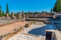 Ancient ruins at Italica, Spain Royalty Free Stock Photo