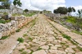 Ancient ruins in Italy Royalty Free Stock Photo