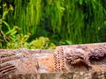 Ancient Ruins, Nature, Sun Temple, Konark Odisha