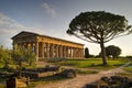 The ancient ruins of Paestum