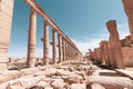 Ancient Ruins of Palmyra in Syria