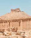 Ancient Ruins of Palmyra in Syria