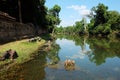 Ancient ruins on the river bank. A small muddy river. Landscape