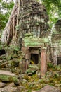 Ancient ruins in Ta Prohm or Rajavihara Temple at Angkor, Siem R