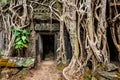 Ancient ruins of Ta Prohm temple, Angkor, Camb Royalty Free Stock Photo