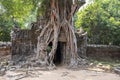 Ancient ruins of Ta Som temple in Angkor Wat complex, Cambodia. Stone temple ruin with jungle tree aerial roots Royalty Free Stock Photo