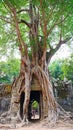 Ancient ruins of Ta Som temple in Angkor Wat complex, Siem Reap Cambodia. Stone temple door gate ruin with jungle tree aerial Royalty Free Stock Photo