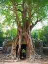 Ancient ruins of Ta Som temple in Angkor Wat complex, Siem Reap Cambodia. Stone temple door gate ruin with jungle tree aerial Royalty Free Stock Photo