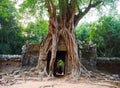 Ancient ruins of Ta Som temple in Angkor Wat complex, Siem Reap Cambodia. Stone temple door gate ruin with jungle tree aerial