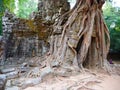 Ancient ruins of Ta Som temple in Angkor Wat complex, Siem Reap Cambodia. Stone temple door gate ruin with jungle tree aerial Royalty Free Stock Photo