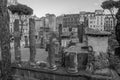ROMA, ITALY - JULY 2017: Ancient ruins in Torre Argentina Square, the site of the death of Emperor Julius Caesar in Rome, Italy