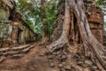 Ancient ruins and tree roots, Ta Prohm temple, Angkor, Cambodia Royalty Free Stock Photo