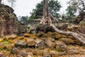 Ancient ruins and tree roots, Ta Prohm temple, Angkor, Cambodia Royalty Free Stock Photo