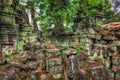 Ancient ruins and tree roots, Ta Prohm temple, Angkor, Cambodia Royalty Free Stock Photo