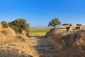 Ancient ruins in Troy Turkey Royalty Free Stock Photo