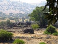 Ancient ruins of Yehudiya village