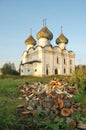 Ancient russian church Voskresenskaya in Kargopol