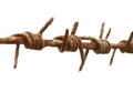 Ancient rusty barbed wire