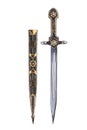 Ancient saber with scabbard Royalty Free Stock Photo