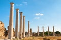 Ancient Salamis Ruins. Famagusta, Cyprus Royalty Free Stock Photo