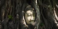 The ancient sandstone Buddha head with the root of the Bodhi tree at Mahathat temple