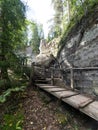 Ancient sandstone cliffs in the Gaujas National Park, Latvia Royalty Free Stock Photo