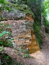 Ancient sandstone cliffs in the Gaujas National Park, Latvia Royalty Free Stock Photo