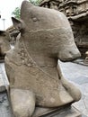 Ancient sandstone Nandhi sculpture at kailasanathar temple in Kancheepuram, Tamil Nadu