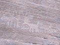 Ancient petroglyph of deer in Valley of Fire Nevada Royalty Free Stock Photo