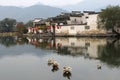 Wild ducks can transfer bird flu, H5N8 and HN9 viruses into the continents, ancient water village Hongcun (Unesco), China Royalty Free Stock Photo
