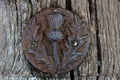 Ancient Scottish Thistle Emblem on an Old Wooden Post