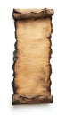 ancient scroll with burnt edges on white background Royalty Free Stock Photo