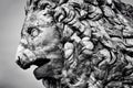 Ancient sculpture of The Medici Lion. Florence, Italy
