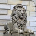 Ancient Sculpture of sitting Cairo Kasr El Nile stone Lion in front of pattern backgrounds, stone strong statue