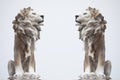 Ancient Sculpture of White sitting Coade stone Lion isolated on white backgrounds, clad strong statue, leadership symbol monument