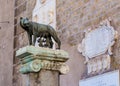 Ancient sculpture of wolf in Rome, Lazio, Italy