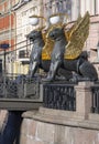 Ancient sculptures of the Griffins of the Bank Bridge. Saint Petersburg